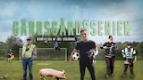 Gärdsgårdsserien