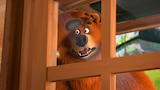 Bear Repellent