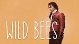 Wild Bees