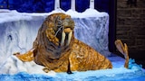 North Pole Animals