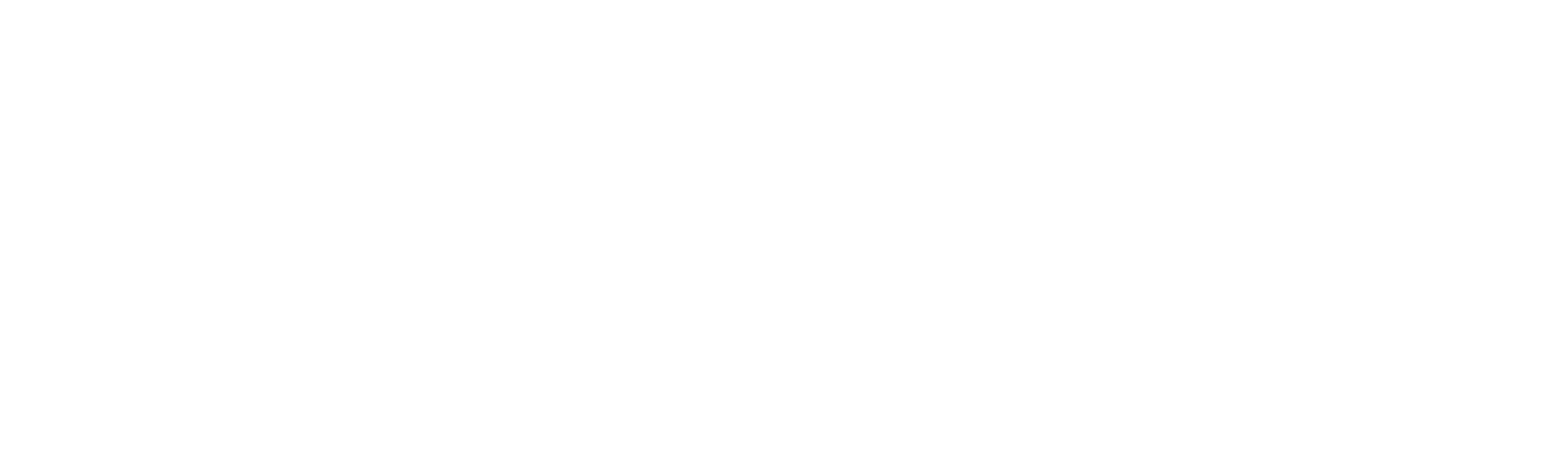 2024 Olympics: Gold, Sweat and Tears