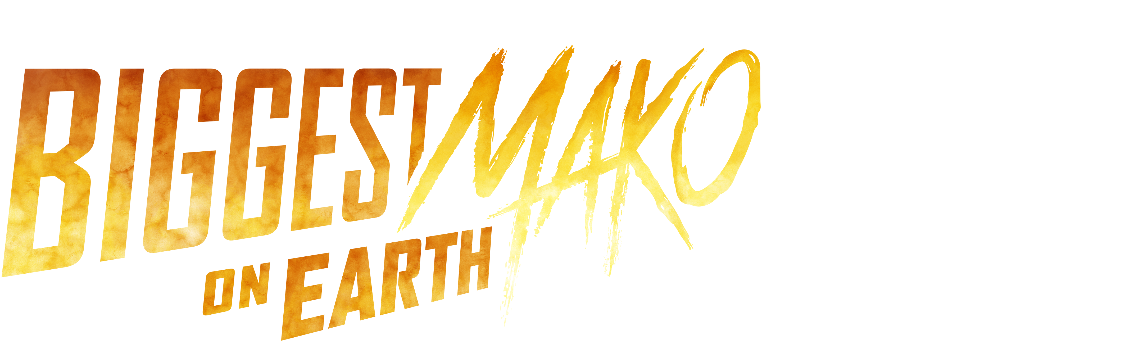 Biggest Mako on Earth