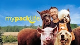 My Pack Life