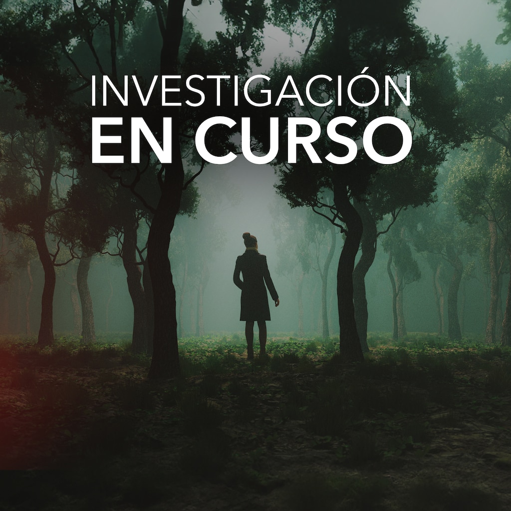 Investigación en curso