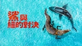 鯊與鱷的對決