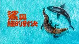 鯊與鱷的對決