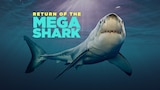Return of the Megashark