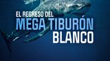 El retorno del megatiburón