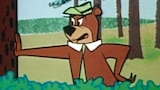 Bear on a Picnic