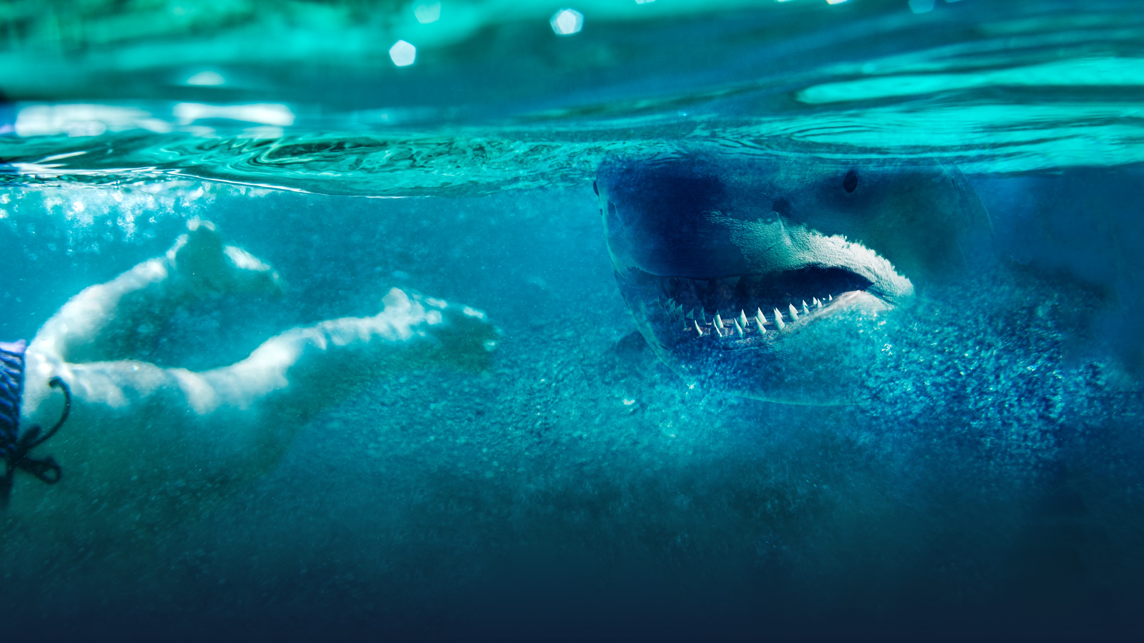 ver-viviendo-con-tiburones-max