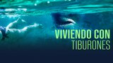 Viviendo con tiburones