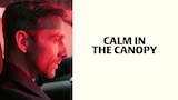 Calm in the Canopy