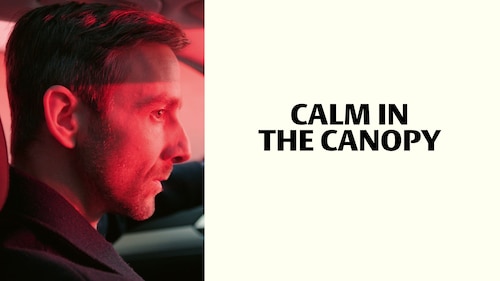 Watch Calm in the Canopy | HBO Max