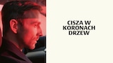 Cisza w koronach drzew