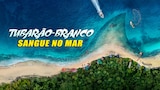 Tubarão-branco: Sangue no Mar