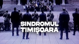 Sindromul Timișoara