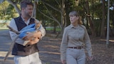 Terri’s Wonder Wallaby