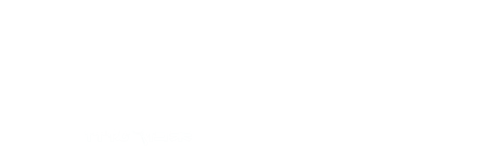 叔比狗神秘档案