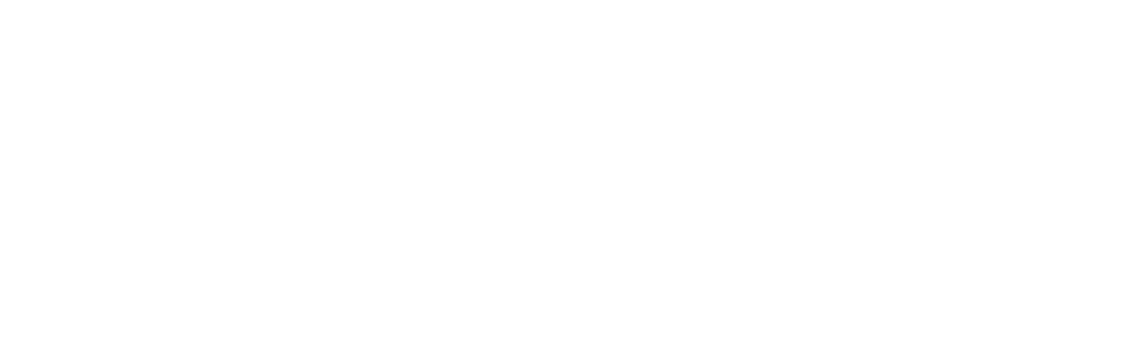 Ispod površine: Nestanak Kim Wall