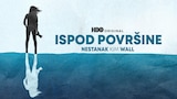 Ispod površine: Nestanak Kim Wall