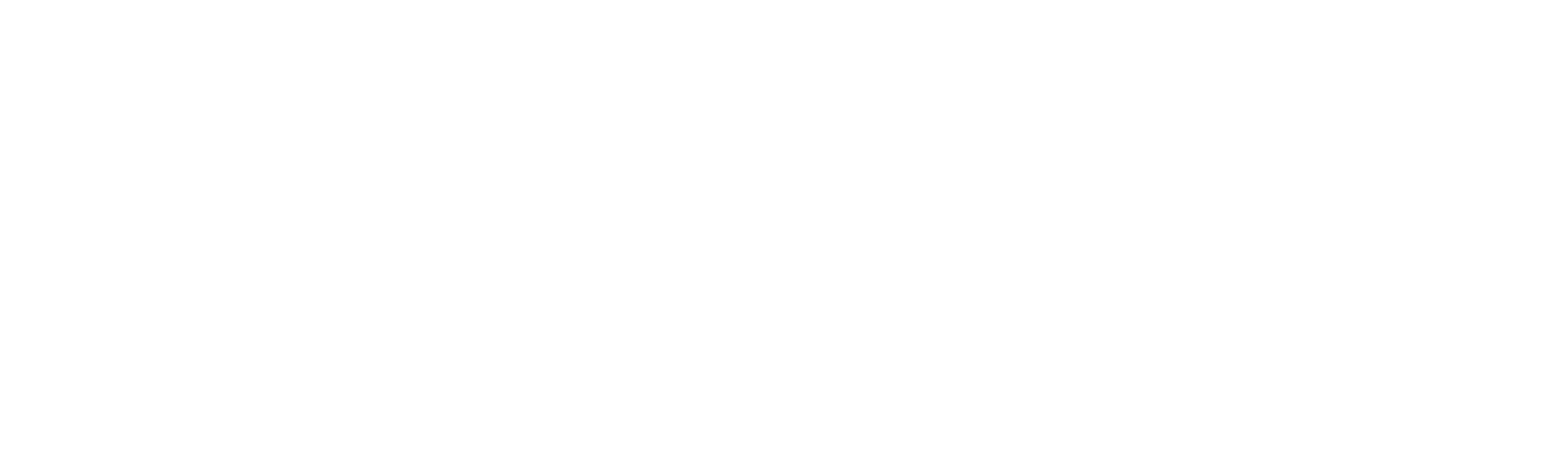 Globinski tok: Izginotje Kim Wall