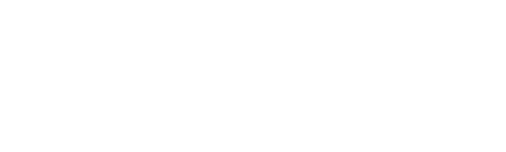 Los gemelos reforman dos veces: Edición Celebrity