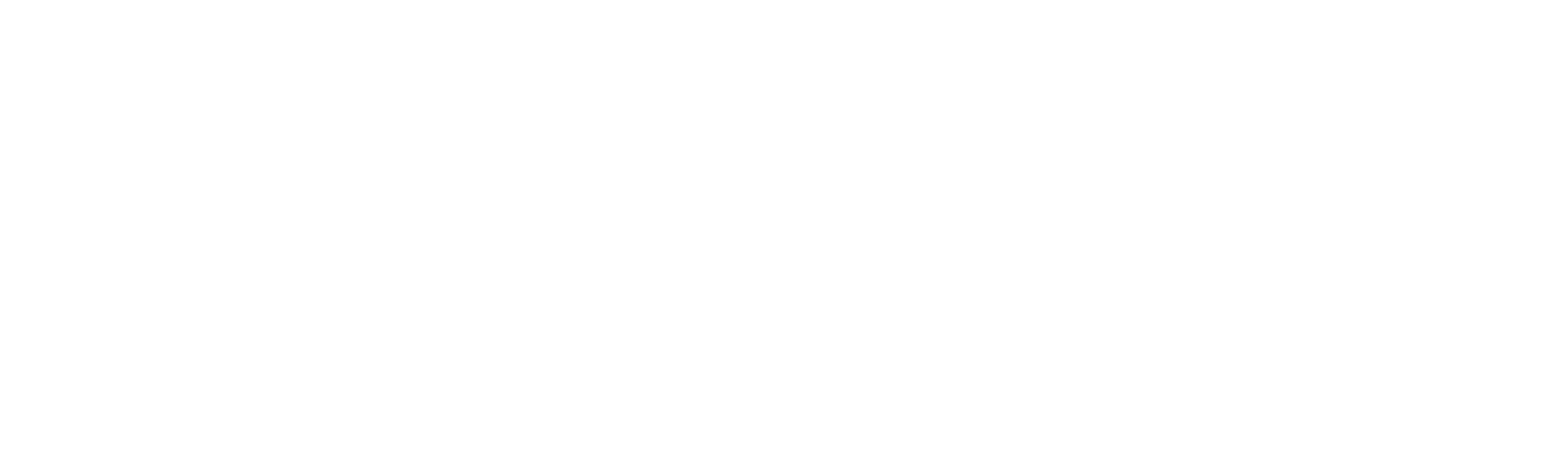 Menem Junior, la Muerte del Hijo del Presidente