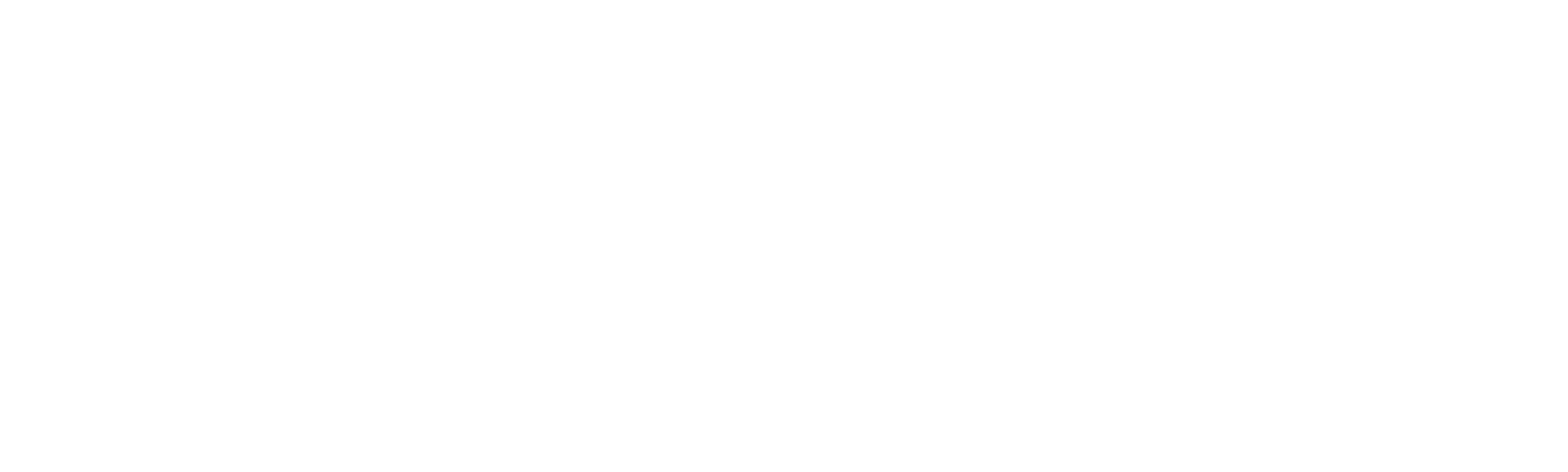 A Morte de Menem Junior: Acidente ou Crime?