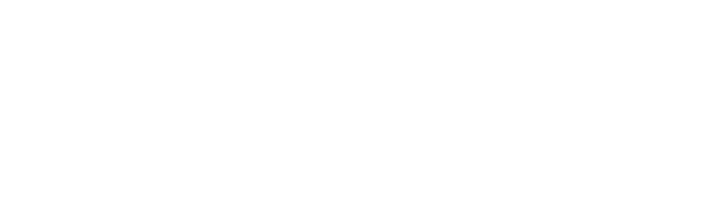 Menem Junior, The Death of a President's Son