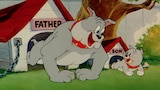 Love That Pup