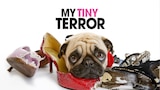 My Tiny Terror