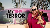 My Tiny Terror