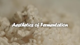 Fermented Food