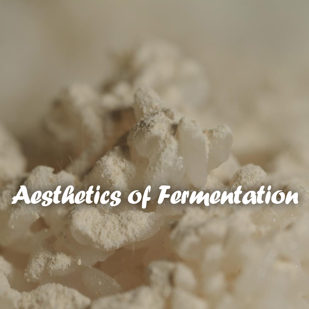 Aesthetics Of Fermentation