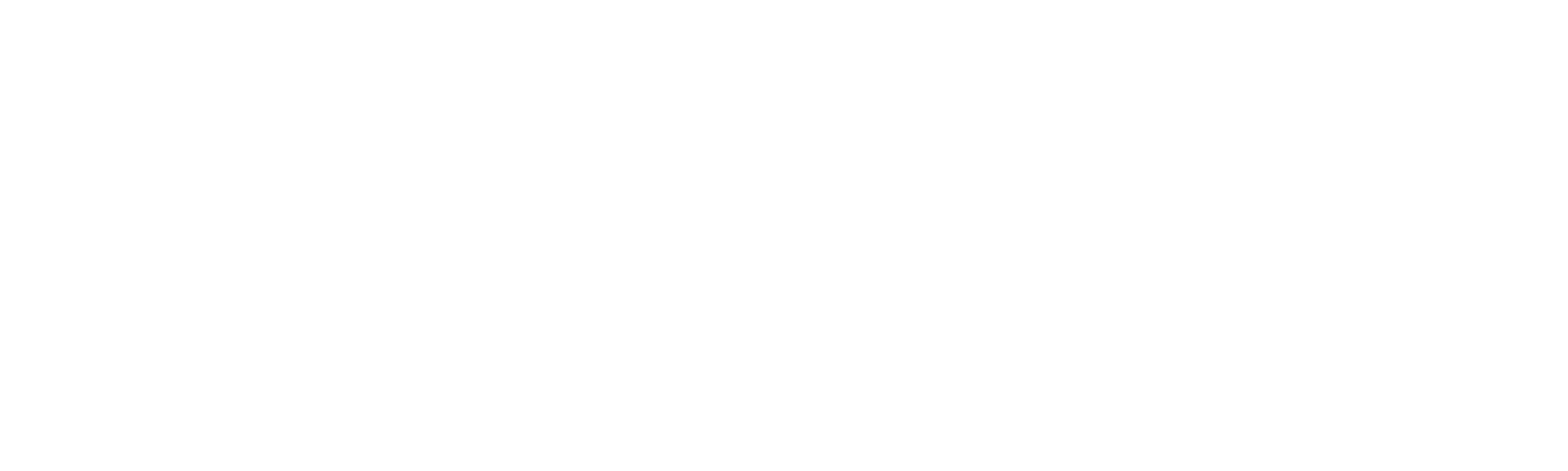 El Guerrero Solitario