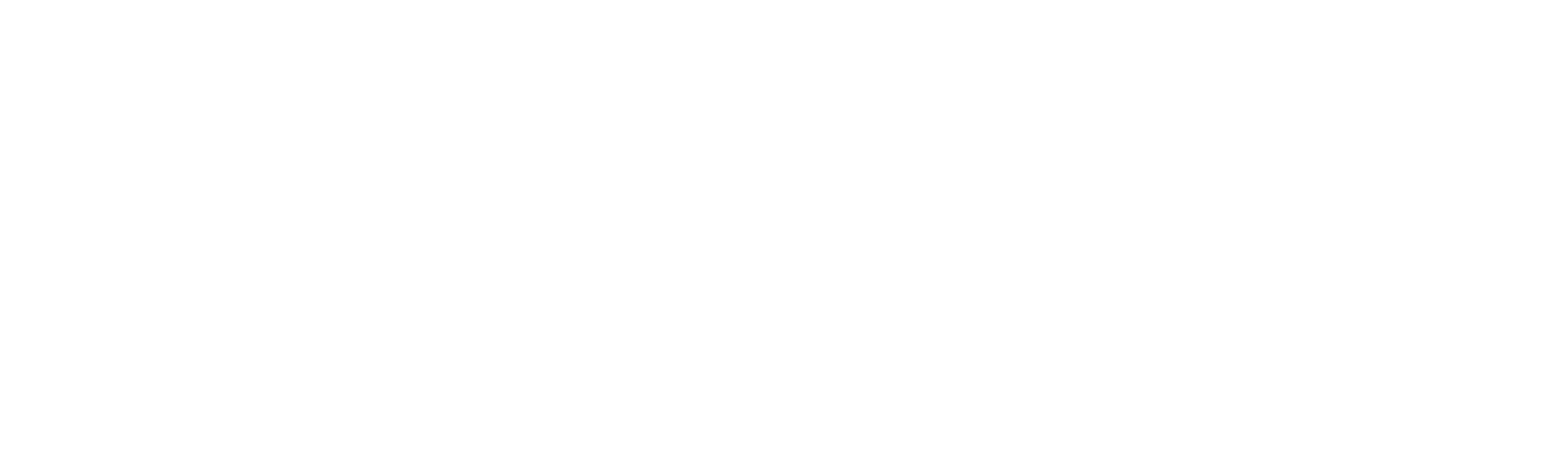 Bianca 25 - Party of the year