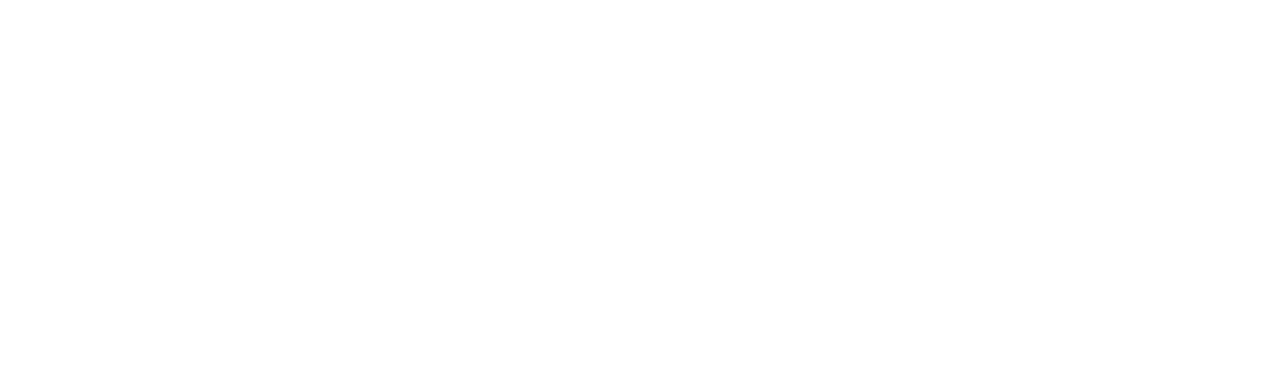 Martin and the Magical Forest