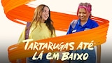 Tartarugas Até Lá Em Baixo