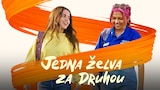 Jedna želva za druhou