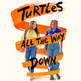 Turtles All the Way Down