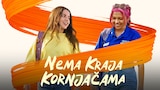 Nema kraja kornjačama