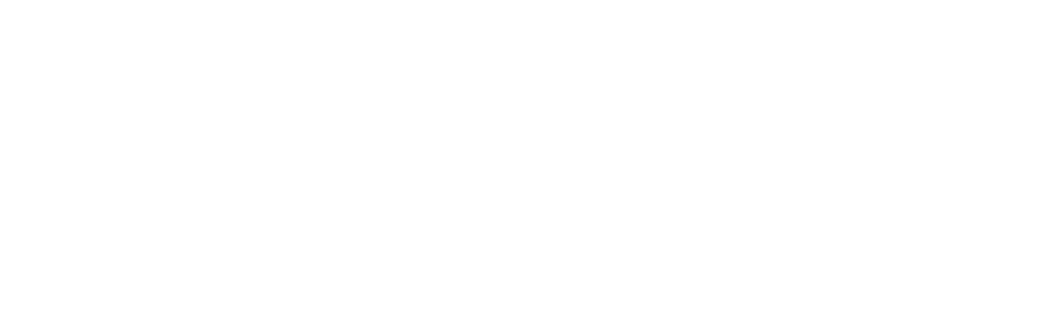 Never Rarely Sometimes Always