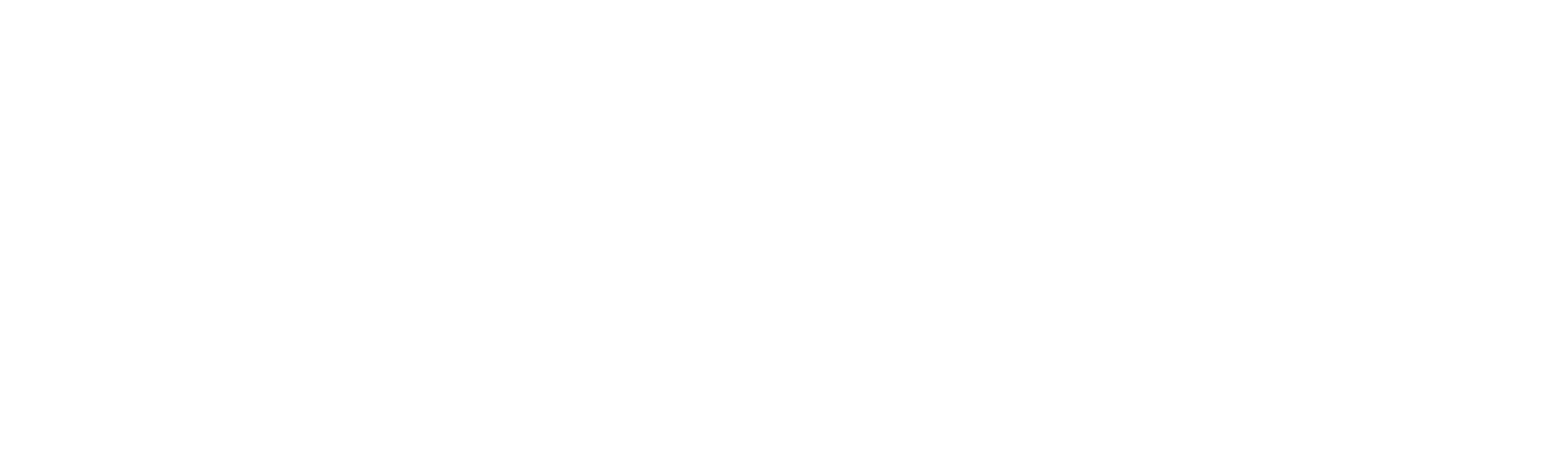 From the World of John Wick: Ballerina