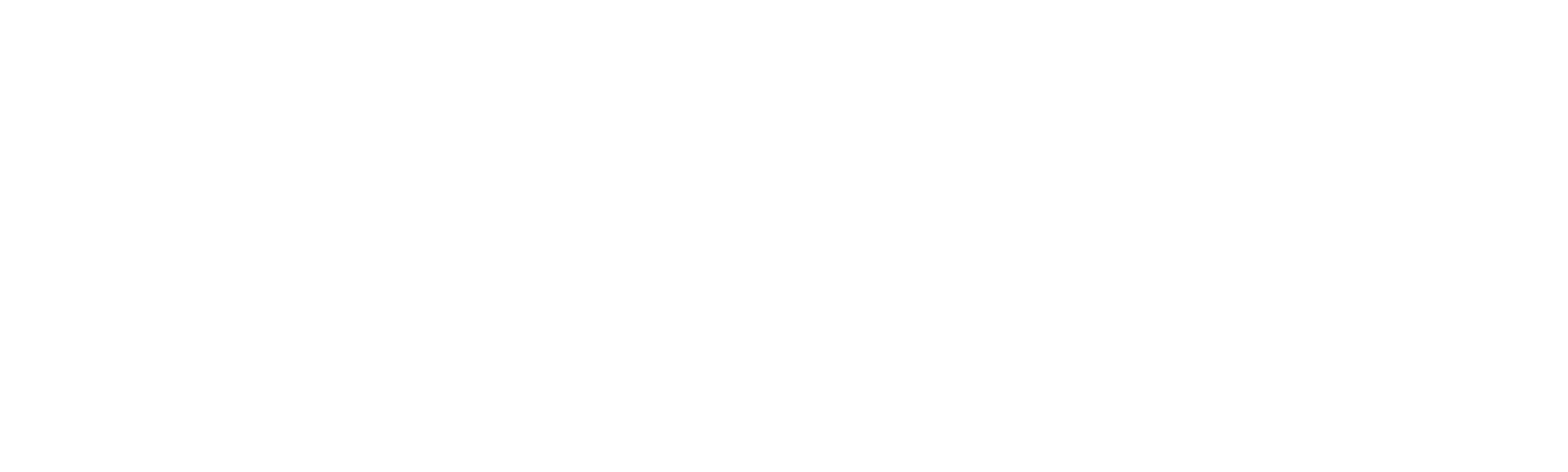 La Mejor de mis Bodas