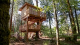 Towering Treetop Teahouse