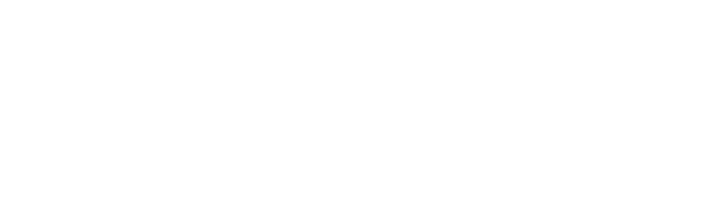 Border Control Brazil