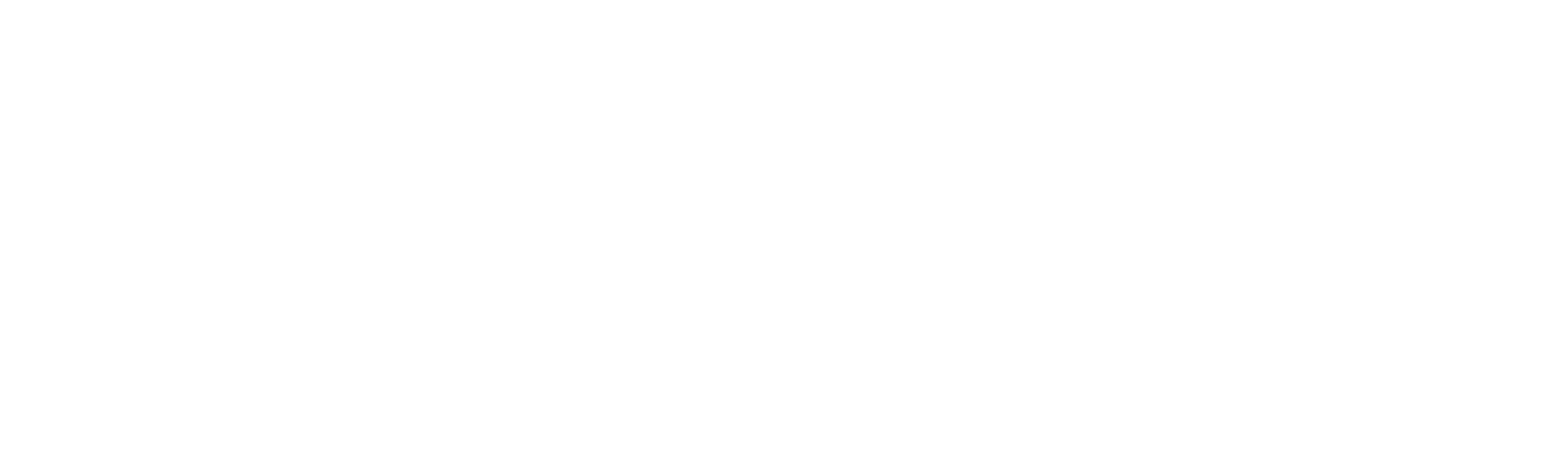 Border Control Brazil