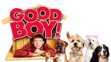 Good Boy! (HBO)