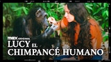 Lucy, el Chimpancé Humano