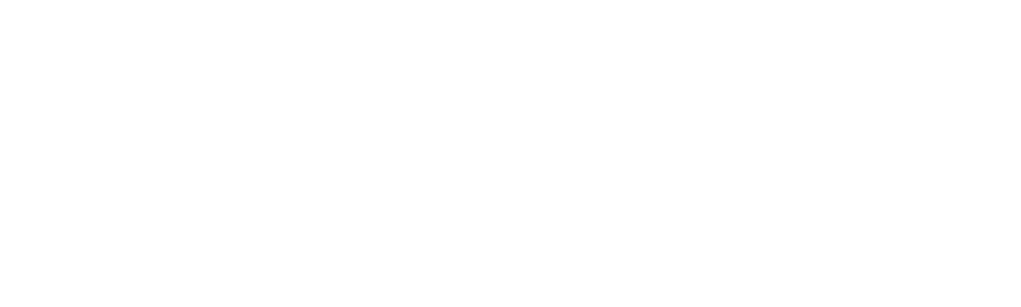 Wonderful Indonesia Flavors